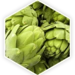Artichoke Extract ProstaVive formula ingredient liver health antioxidant hormonal metabolism support