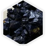 Cordyceps Sinensis Tibetan mushroom extract ProstaVive featured primary ingredient cellular ATP energy production immunity