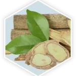 Tongkat Ali Eurycoma longifolia root extract ProstaVive ingredient natural testosterone support male vitality